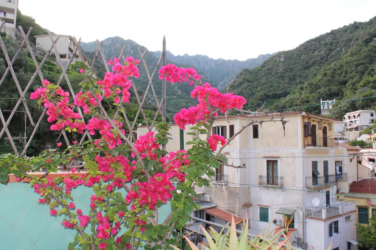 Bed and Breakfast Reginella Cetara Exterior foto